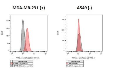 Anti-PD-L1 antibody [HL2985] used in Flow cytometry (FCM). GTX640395